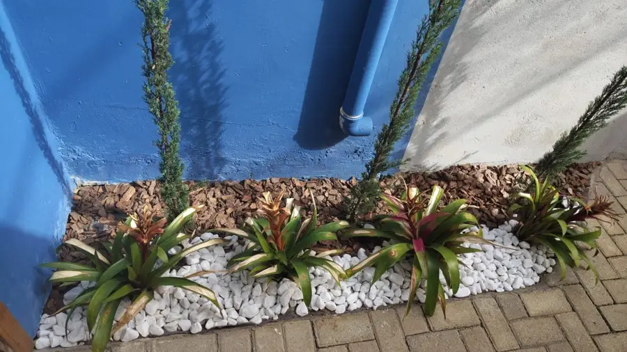 Jardim de entrada do escritório Morais Silva